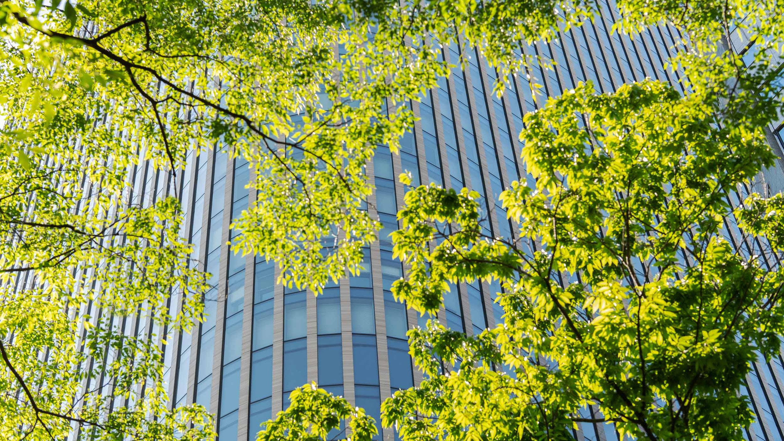 The ‘sustainability doom loop': why companies should be ‘greenshouting'