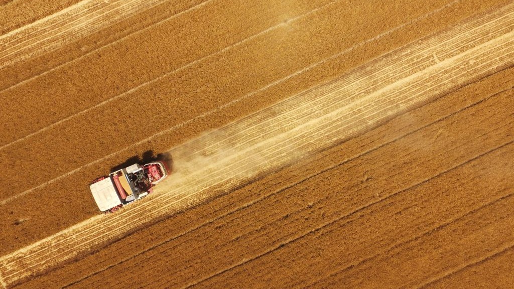 Why current risk models are failing the food industry’s resilience push