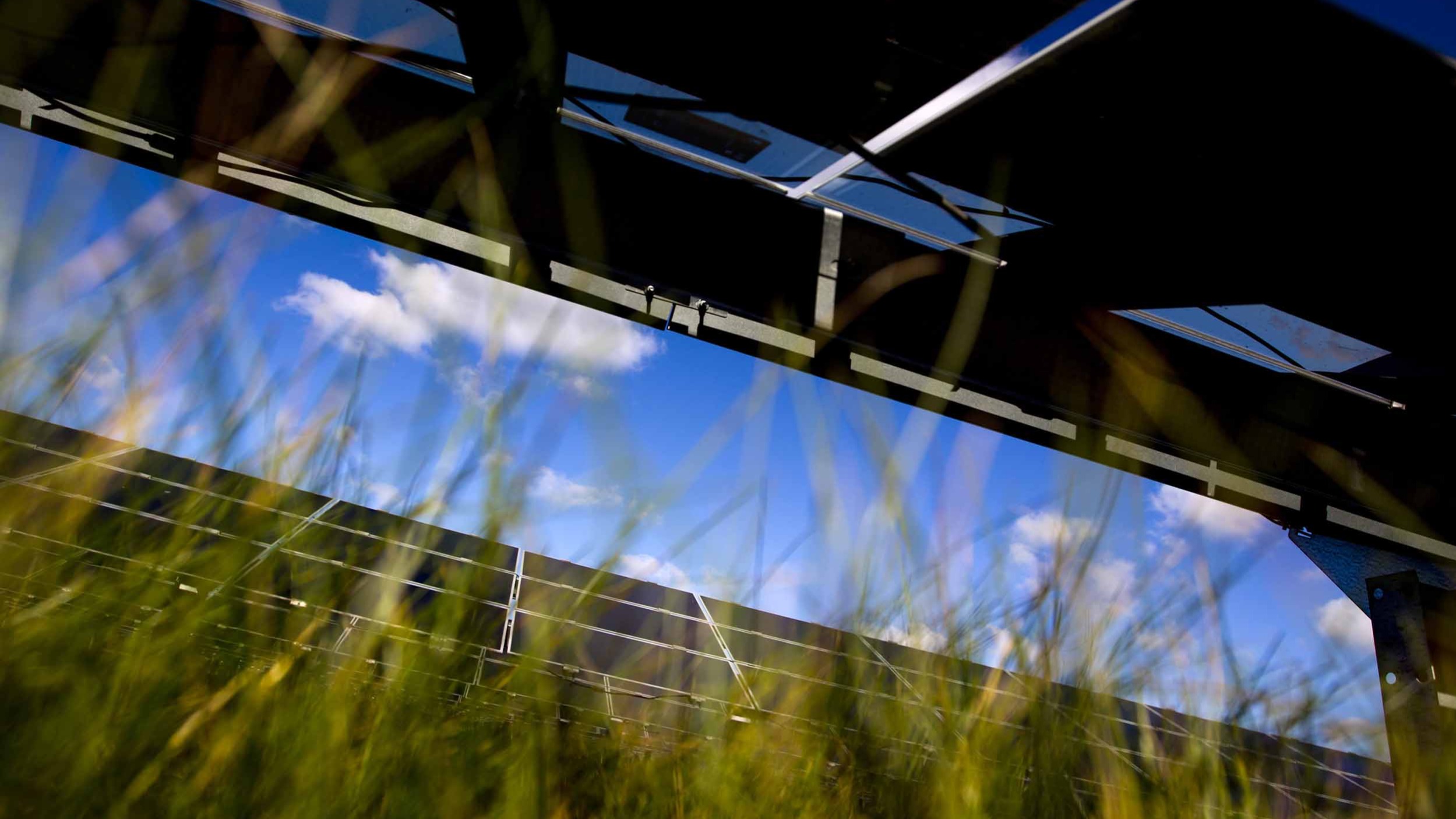 Canadian investors stay focused on ESG integration, study shows