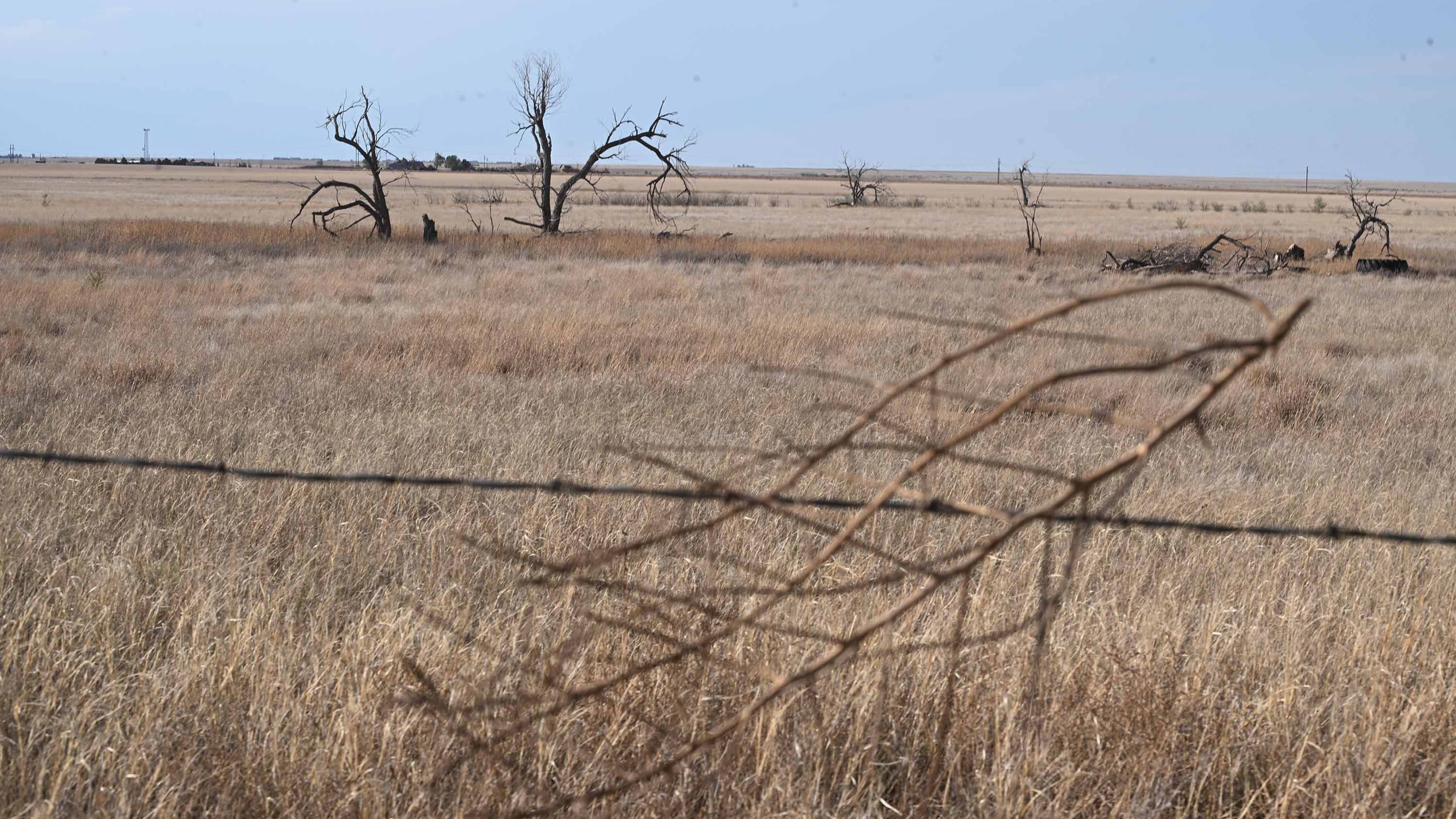 COP17: Investment hub launched to close $278bn land restoration finance gap
