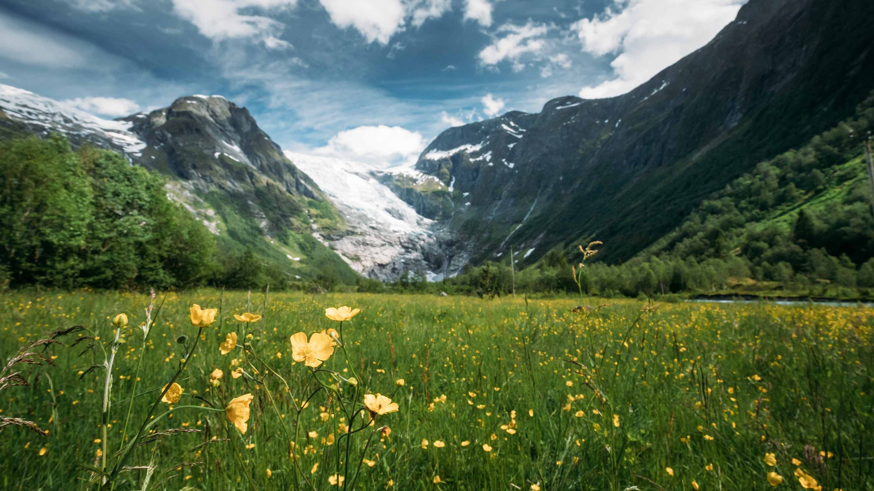 ISSB to consult on whether nature-disclosure proposals should be made ...