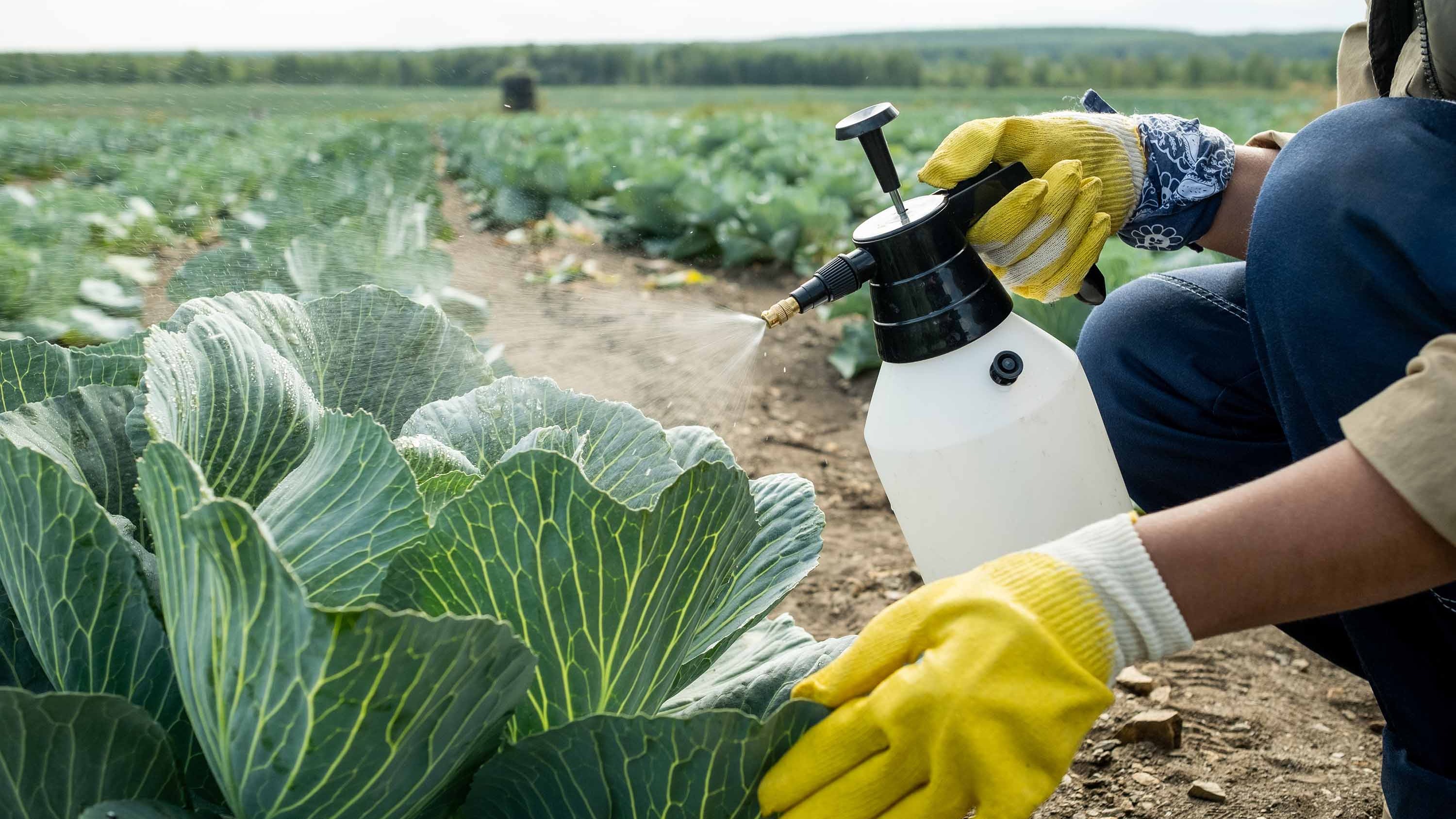 Europe's pesticide reforms raise PFAS liability risks