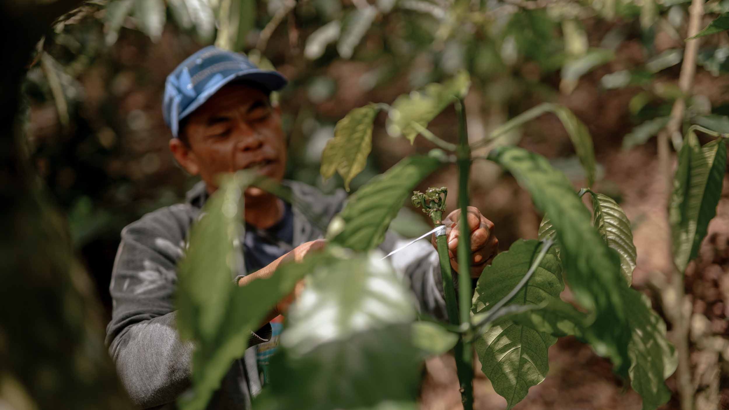 EU Commission proposes delaying Deforestation Regulation, again