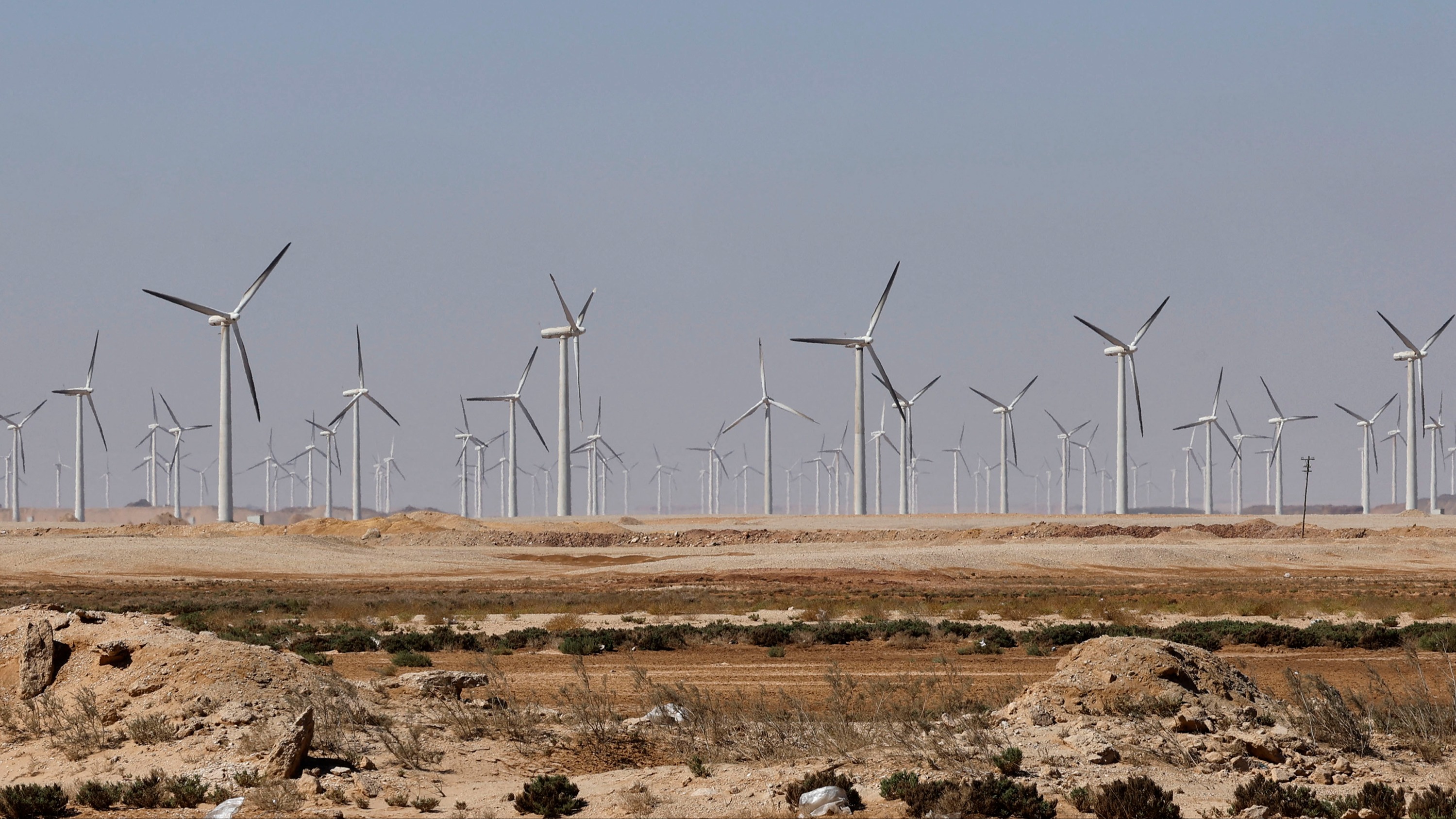 UAE Alcazar to break ground on 500MW Egypt wind farm in mid-2026