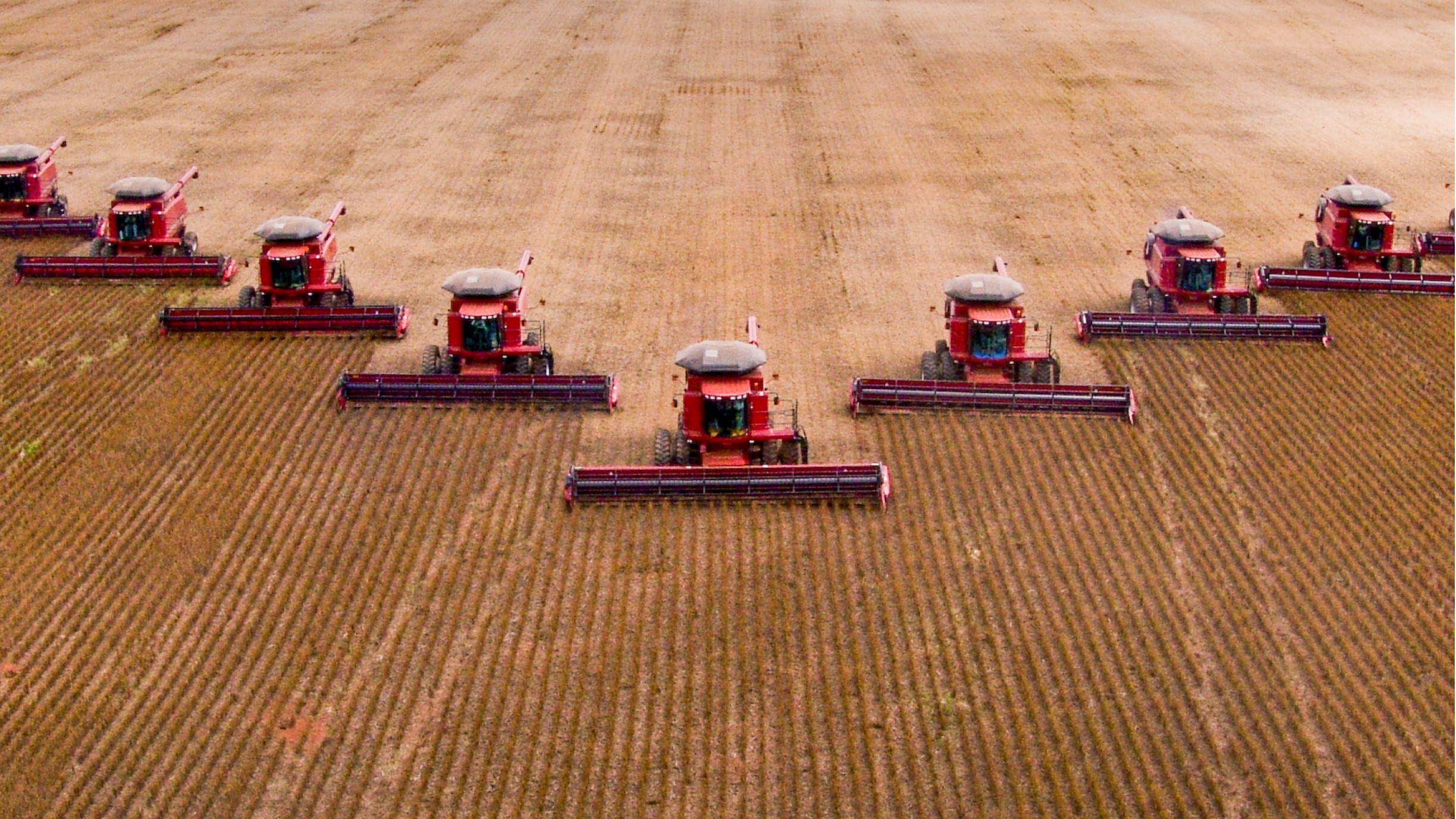 A new El Niño is hitting your portfolio – here’s how to protect it