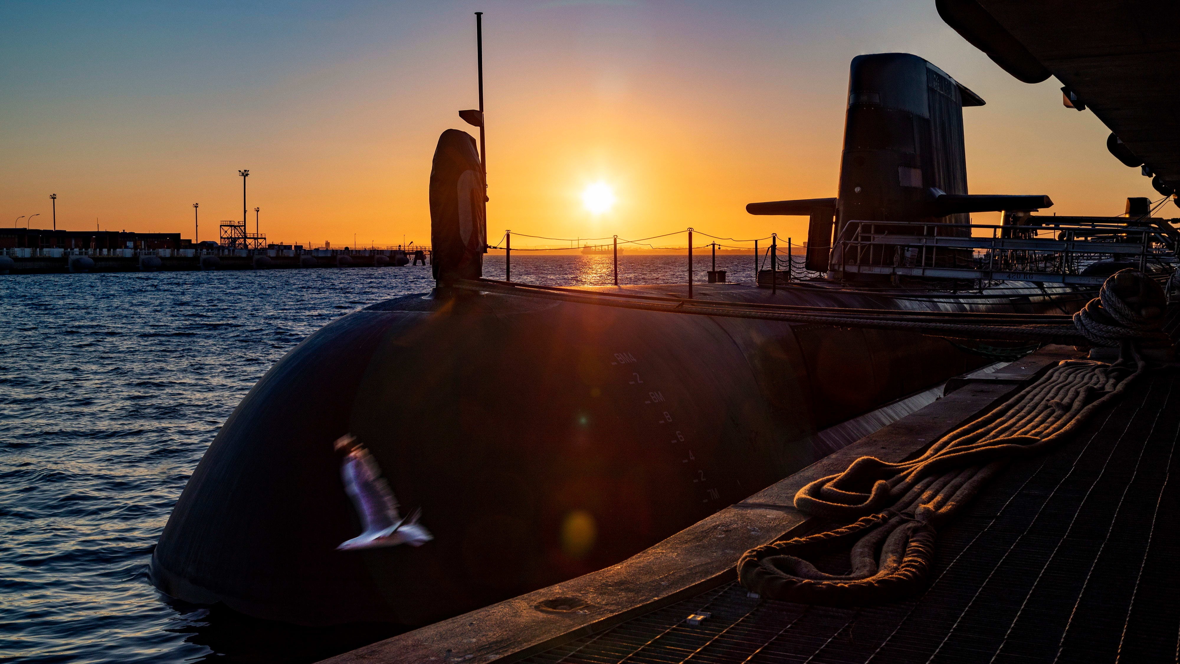 Few can match this bargain-rated marine specialist