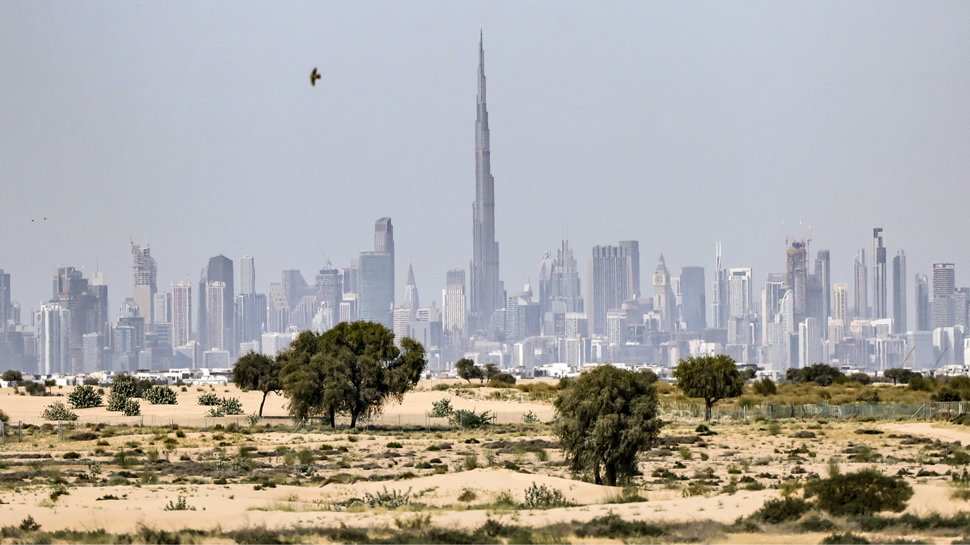 Dubai’s bankers contemplate post-conflict prospects