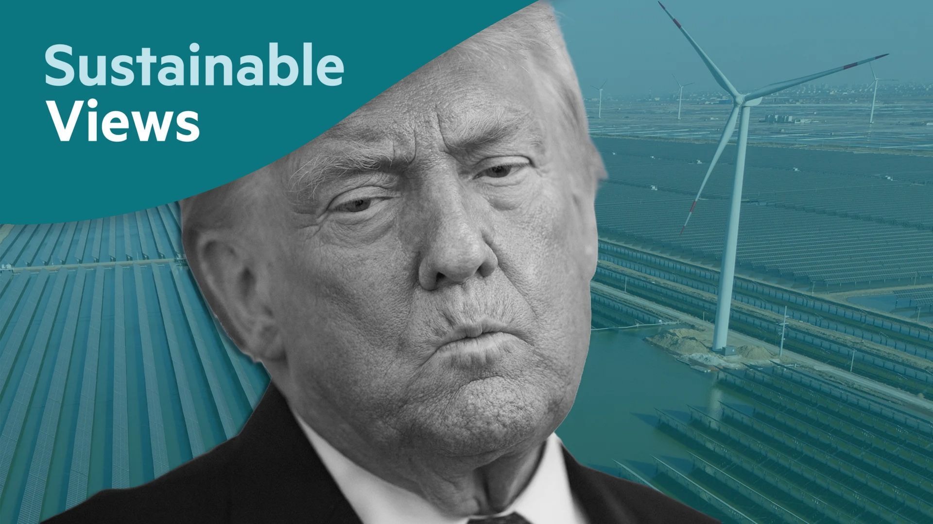 What to expect in sustainability in 2026