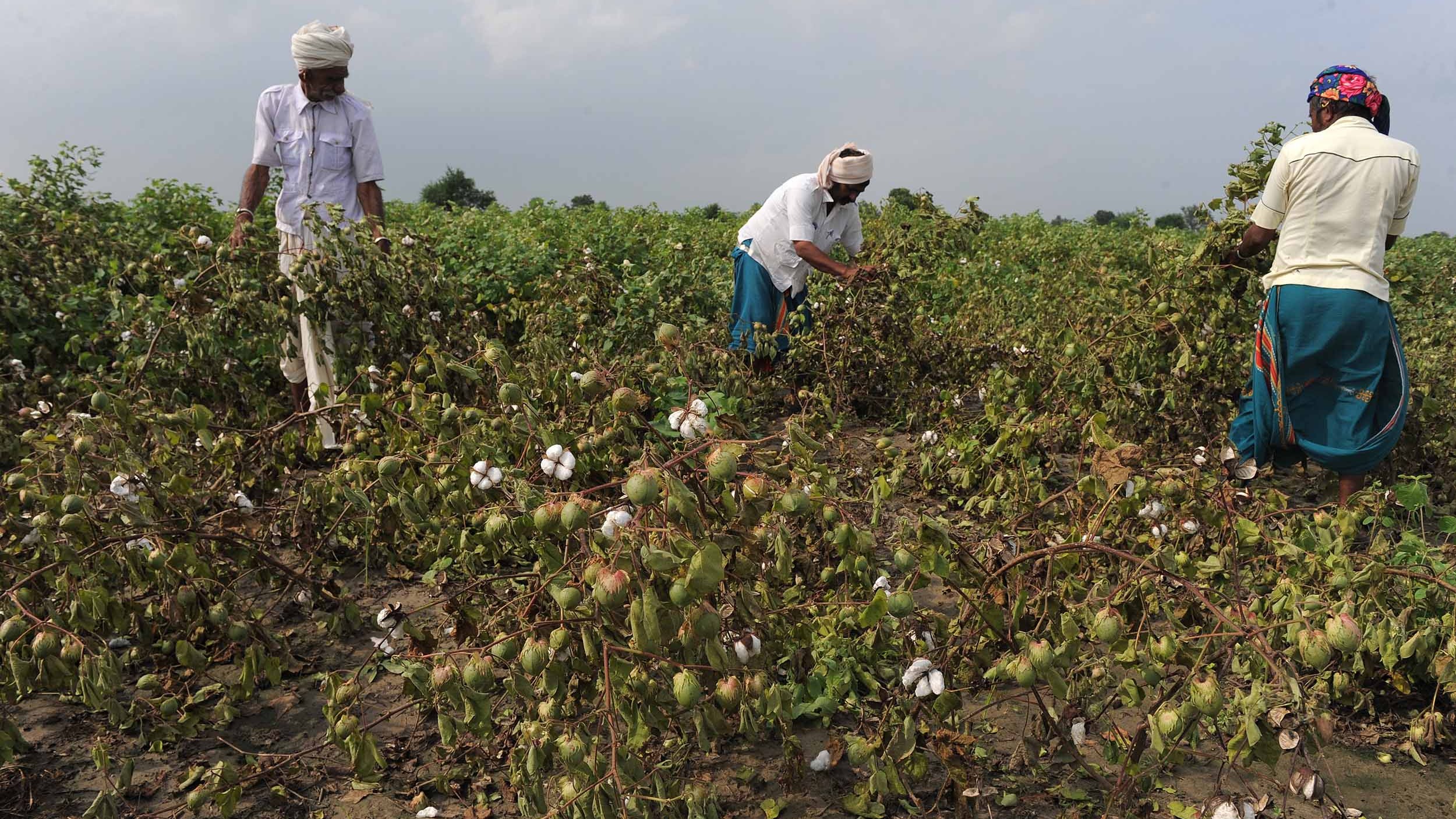 Failing soil is pushing regenerative agriculture into the mainstream
