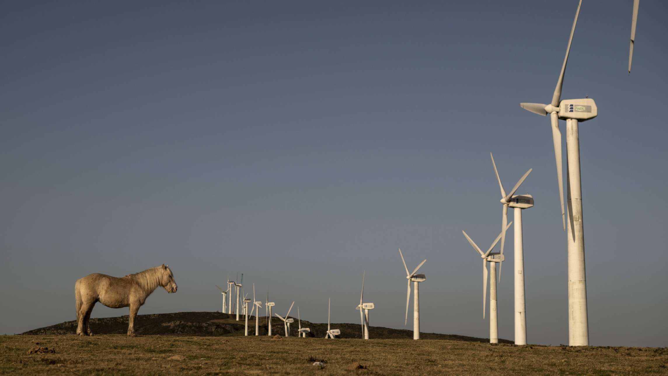 Flexible strategy will help climate alliance to better serve banks