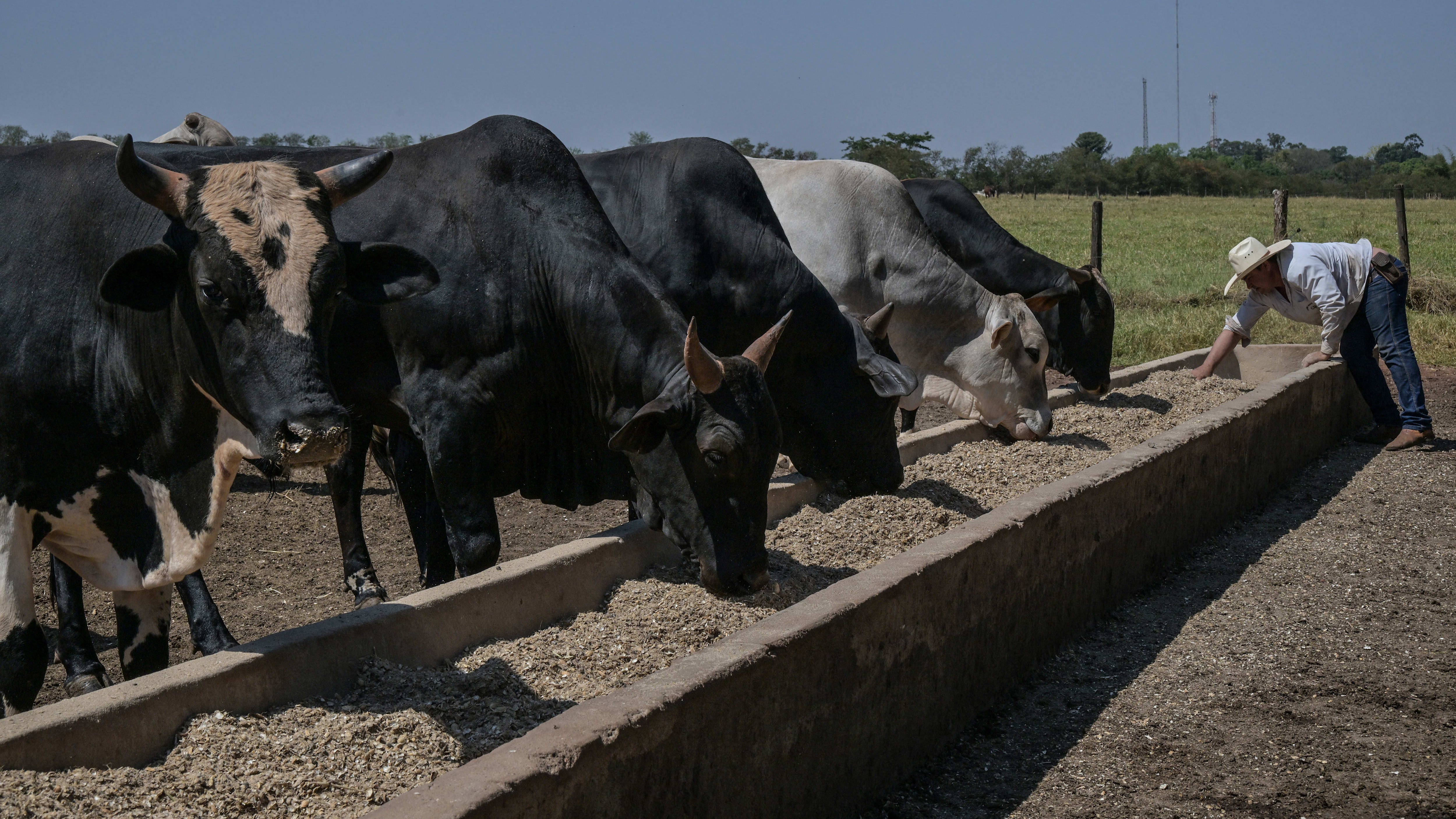 The market’s view of this Aim stock is too harsh