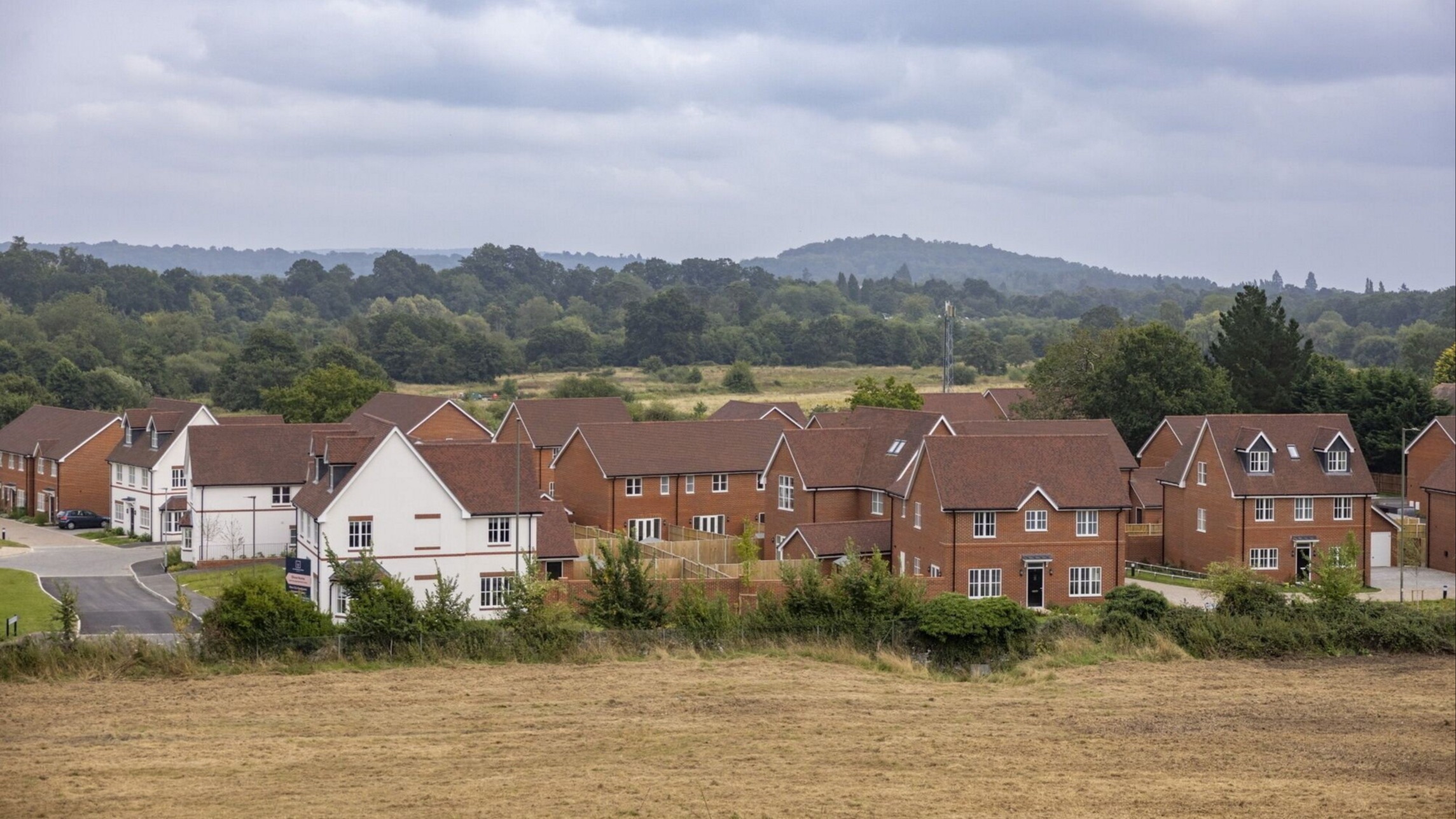 UK environmental regulation shake-up ‘not well co-ordinated' and ‘complex'