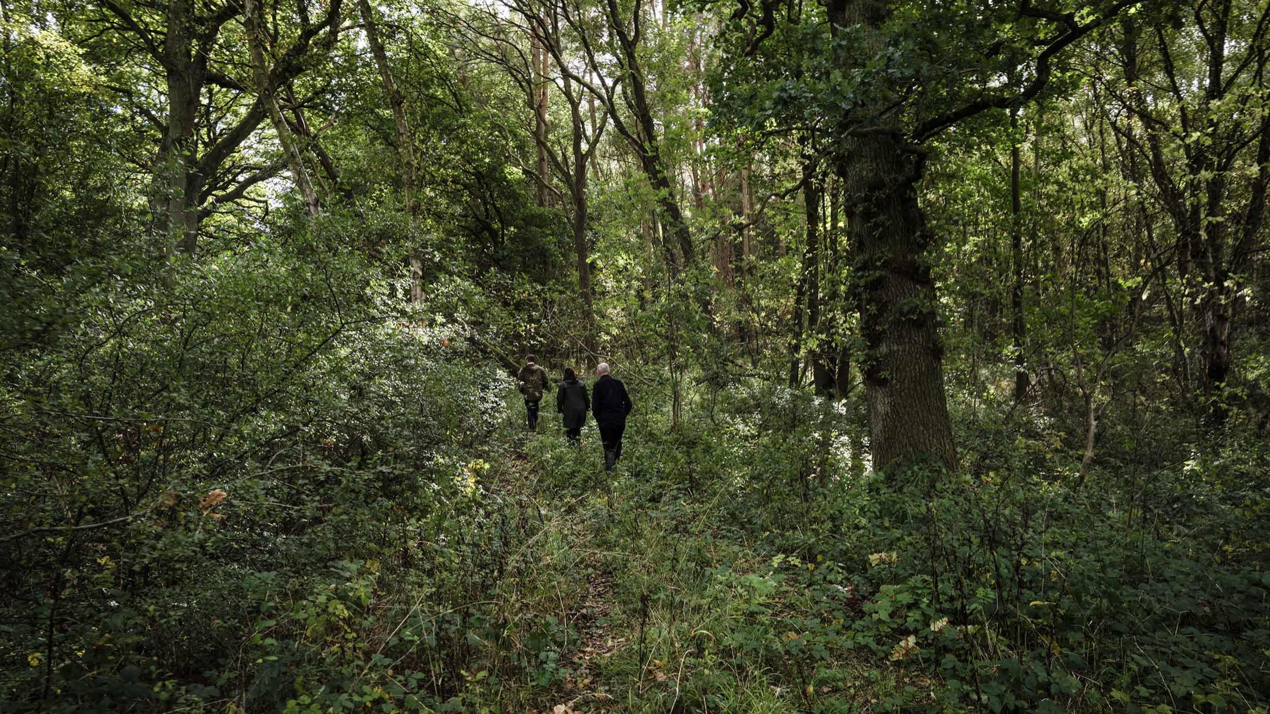 UK ‘largely off track’ on environmental targets, warns regulator