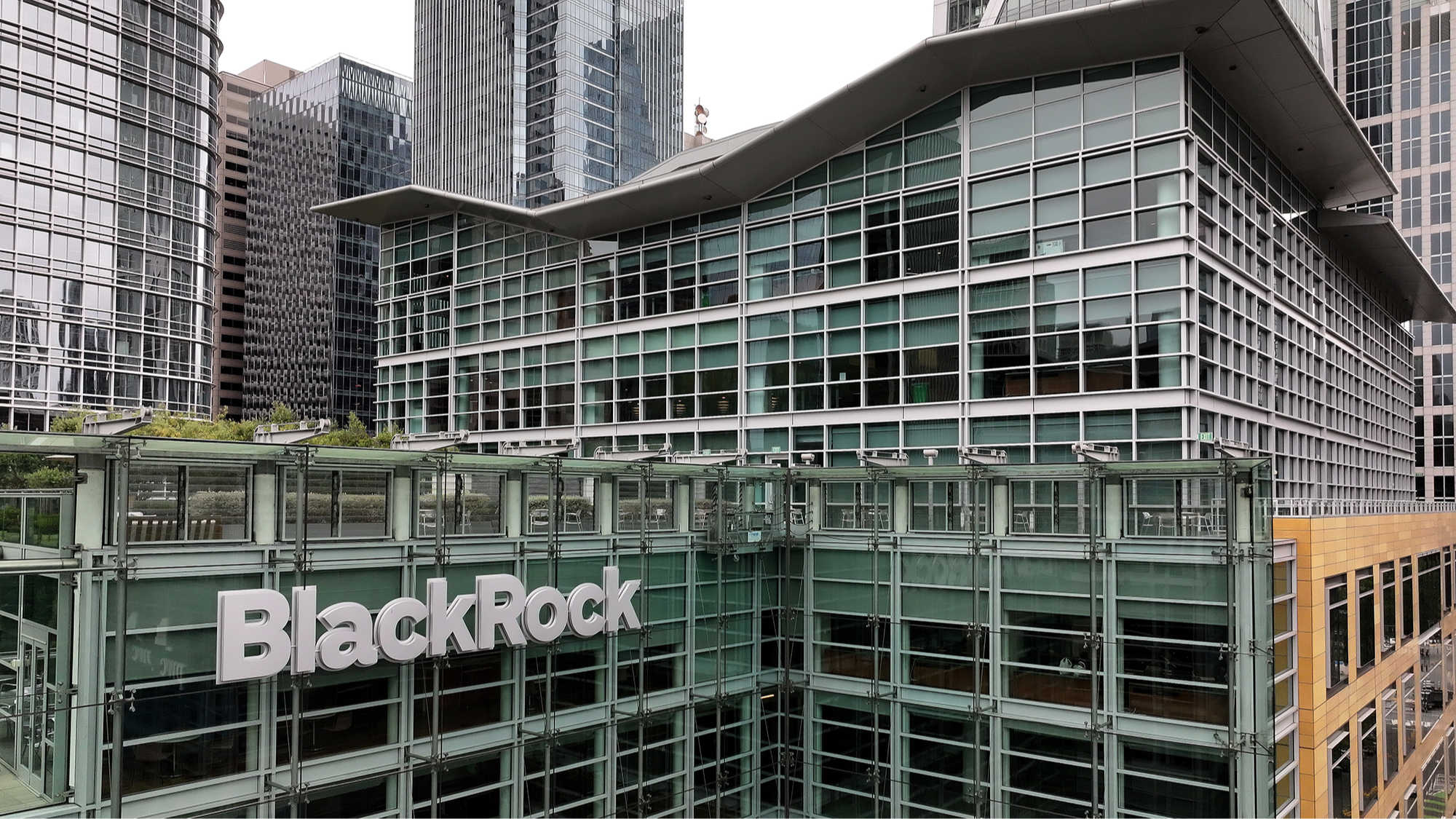 ‘Major shift’ in private markets as wealth clients increase allocation