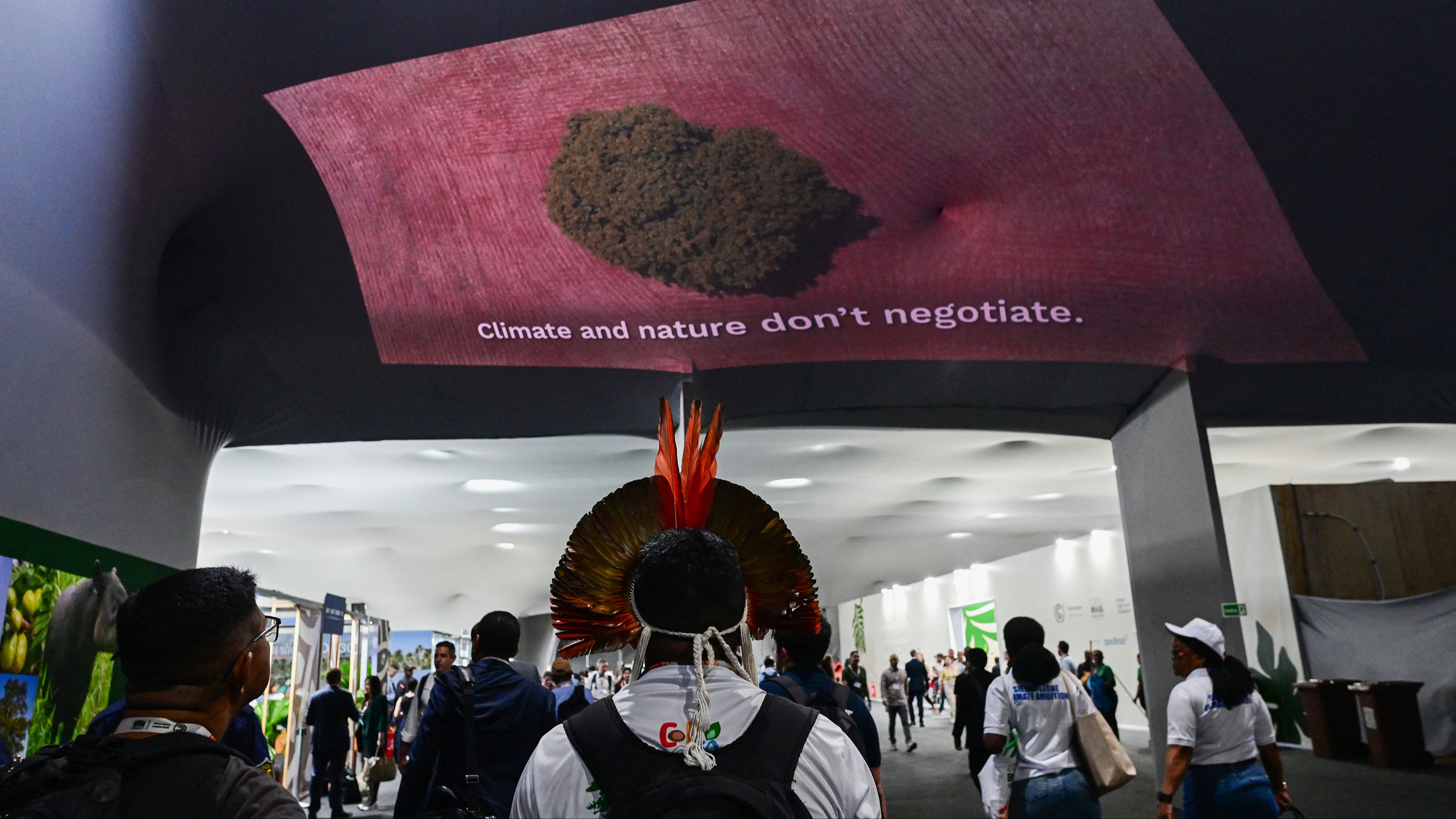 COP30: creating investment pathways for sustainable development