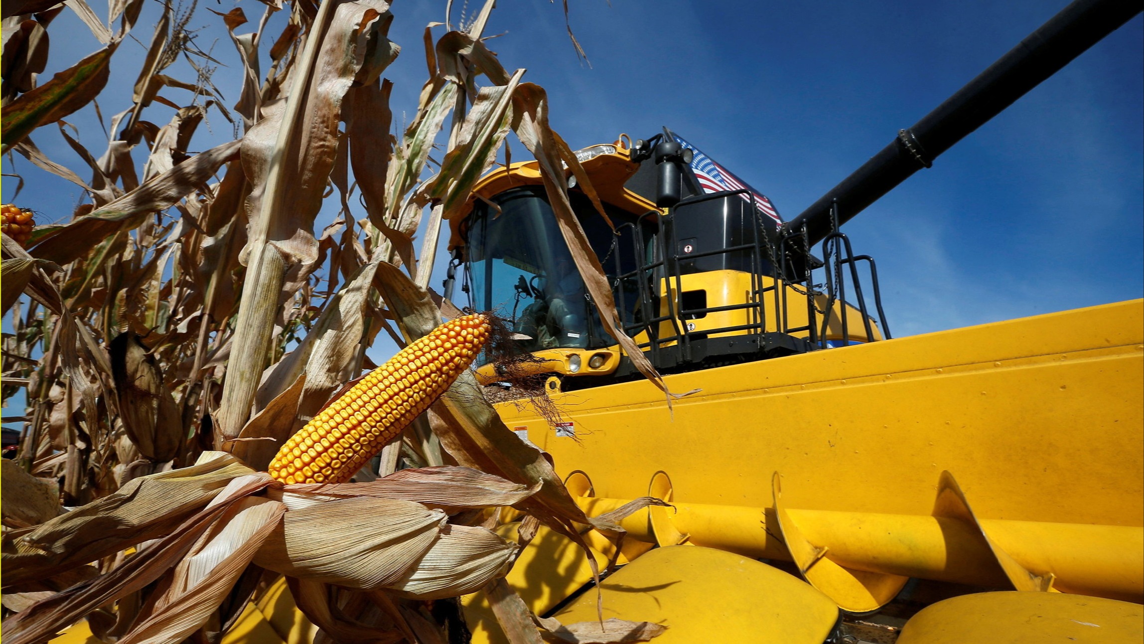 Climate is agriculture’s biggest business risk