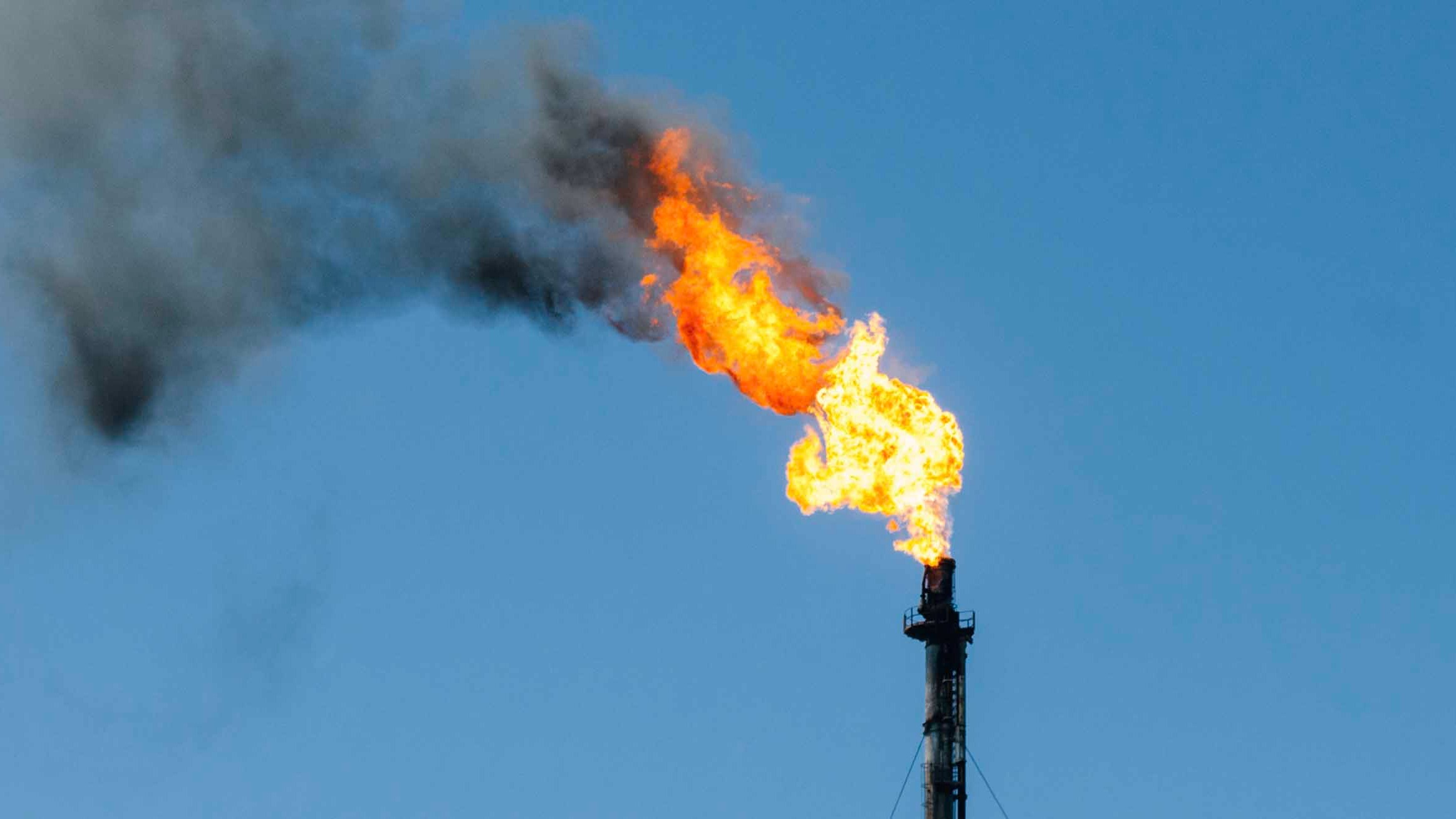 Category Sample Image