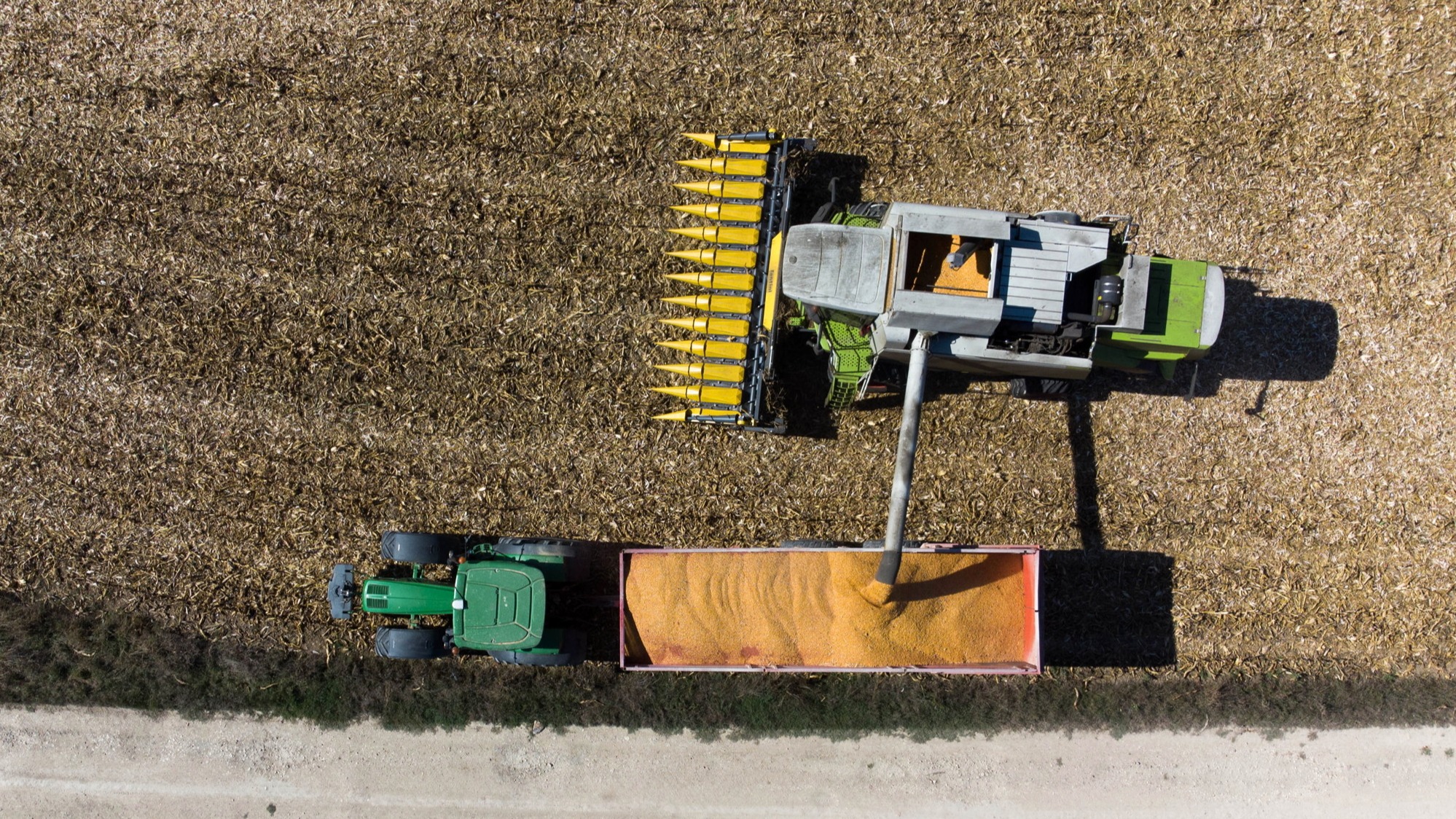 EU farm subsidy shake-up could create cracks in single market, warns watchdog