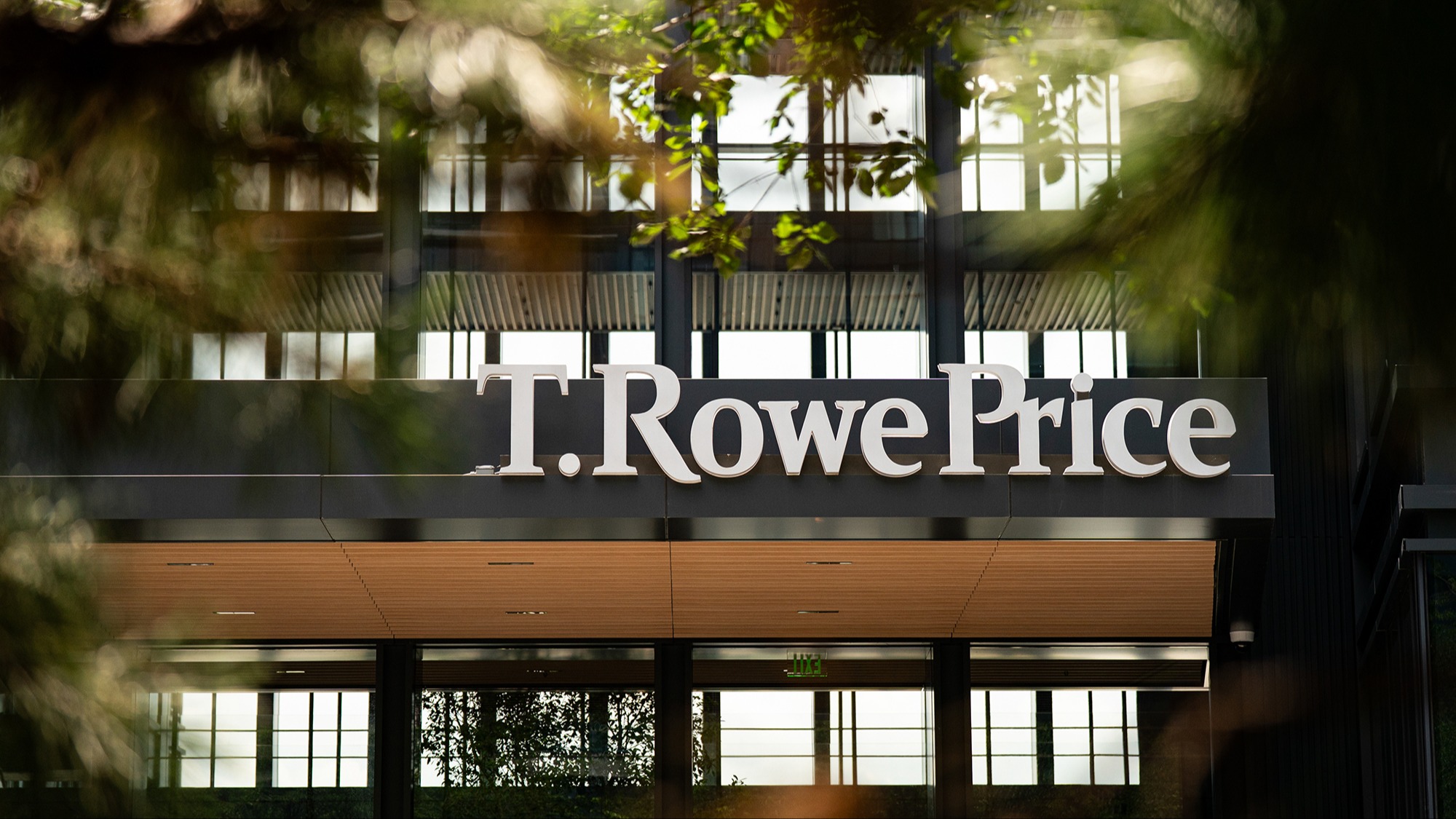 Goldman to take $1bn stake in asset manager T Rowe Price; UK rules out  participation in £100bn defence bank - The Banker