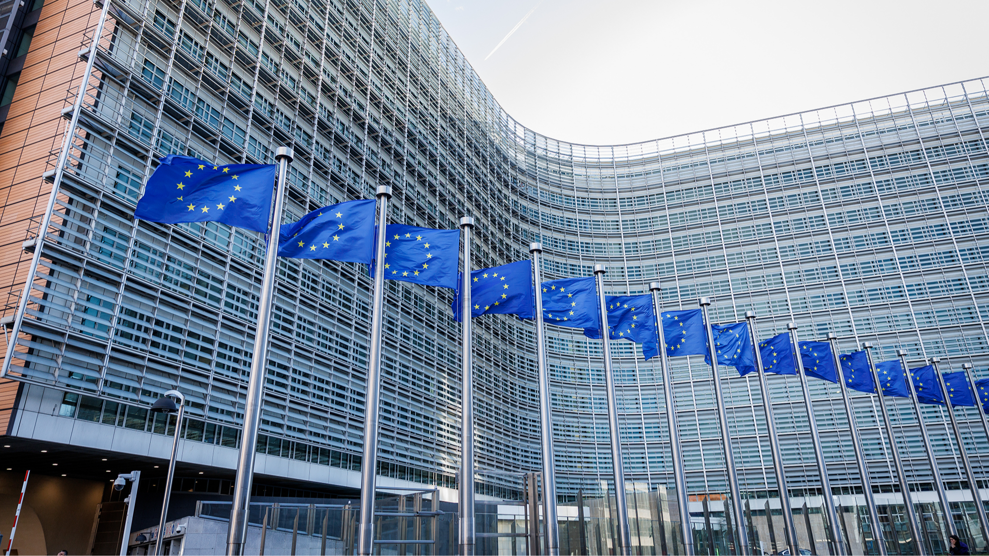JPMorgan: EU capital market reform a ‘great opportunity’ to diversify from US