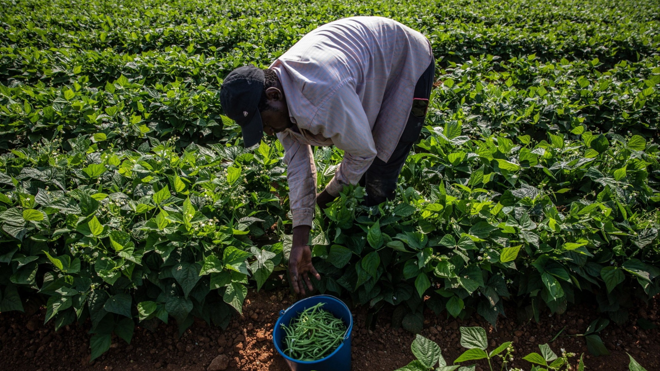 Rethinking farming, food production and how we finance it Sustainable