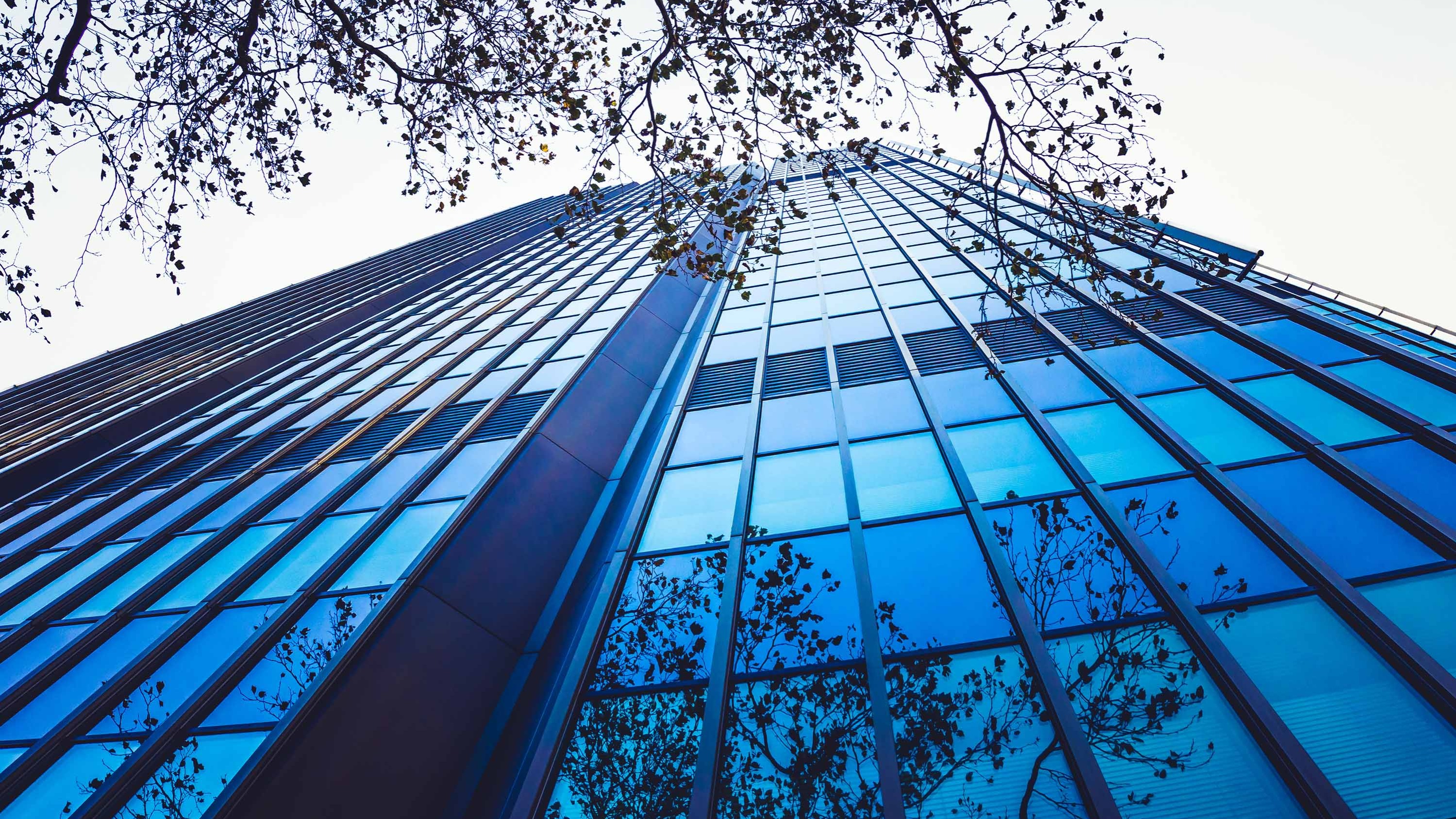 EU investors launch framework to tackle ‘engagement washing'