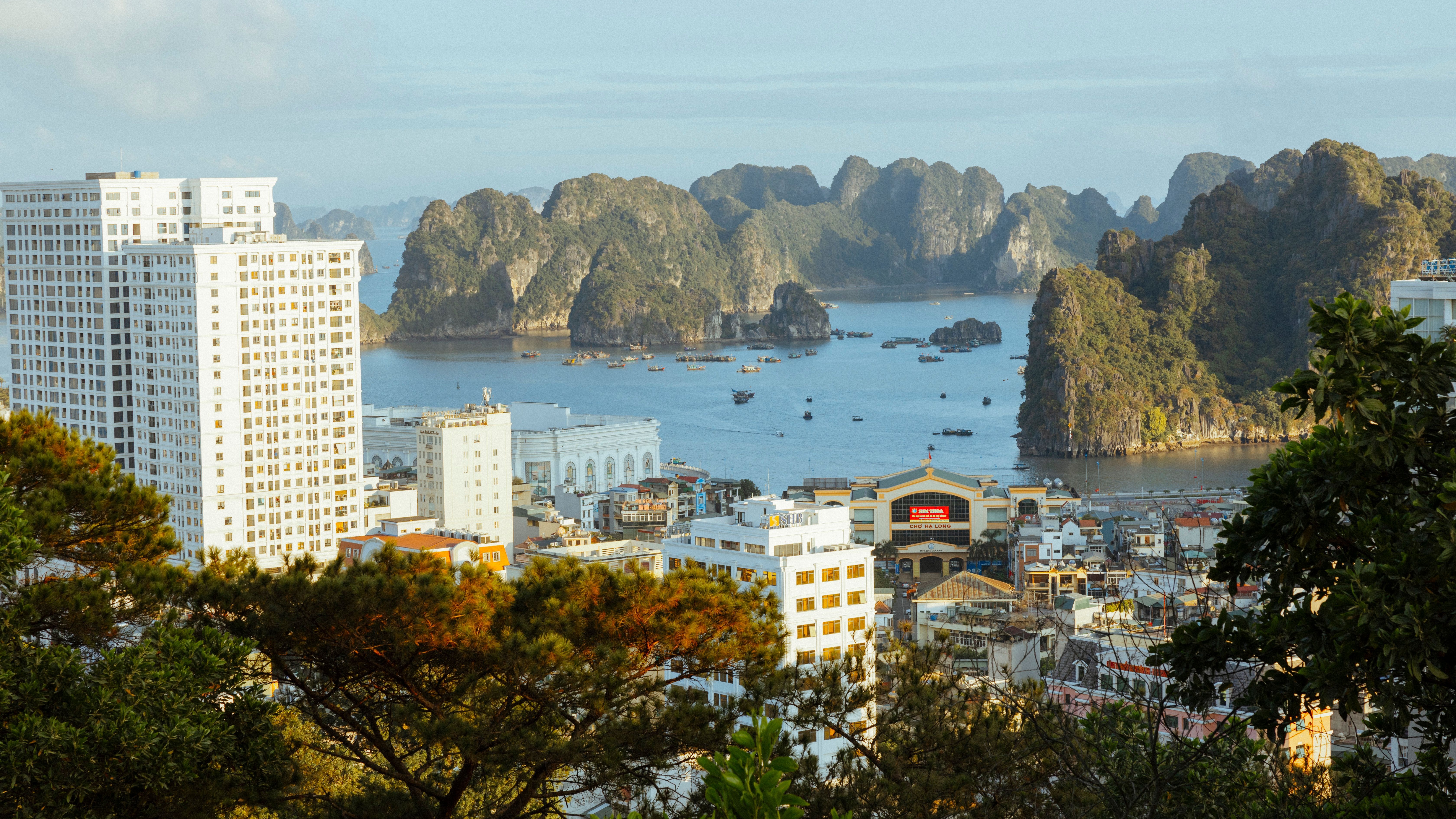 M&G Asian fund picks up six new DFM buyers