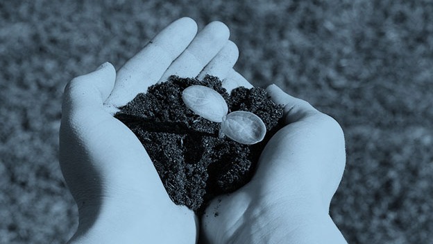 Two fast-growing American businesses