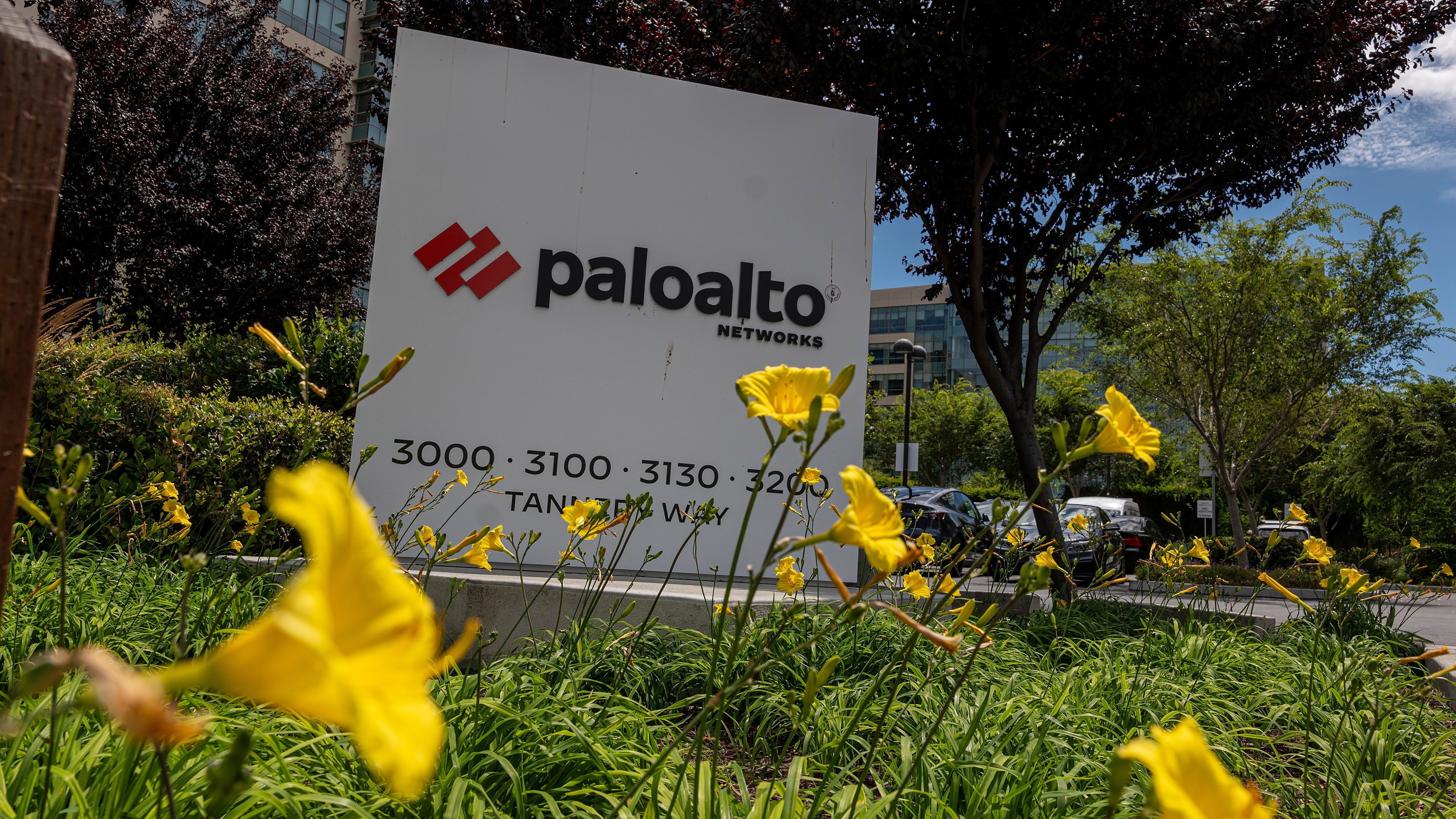 Palo Alto Networks sales grow by a third