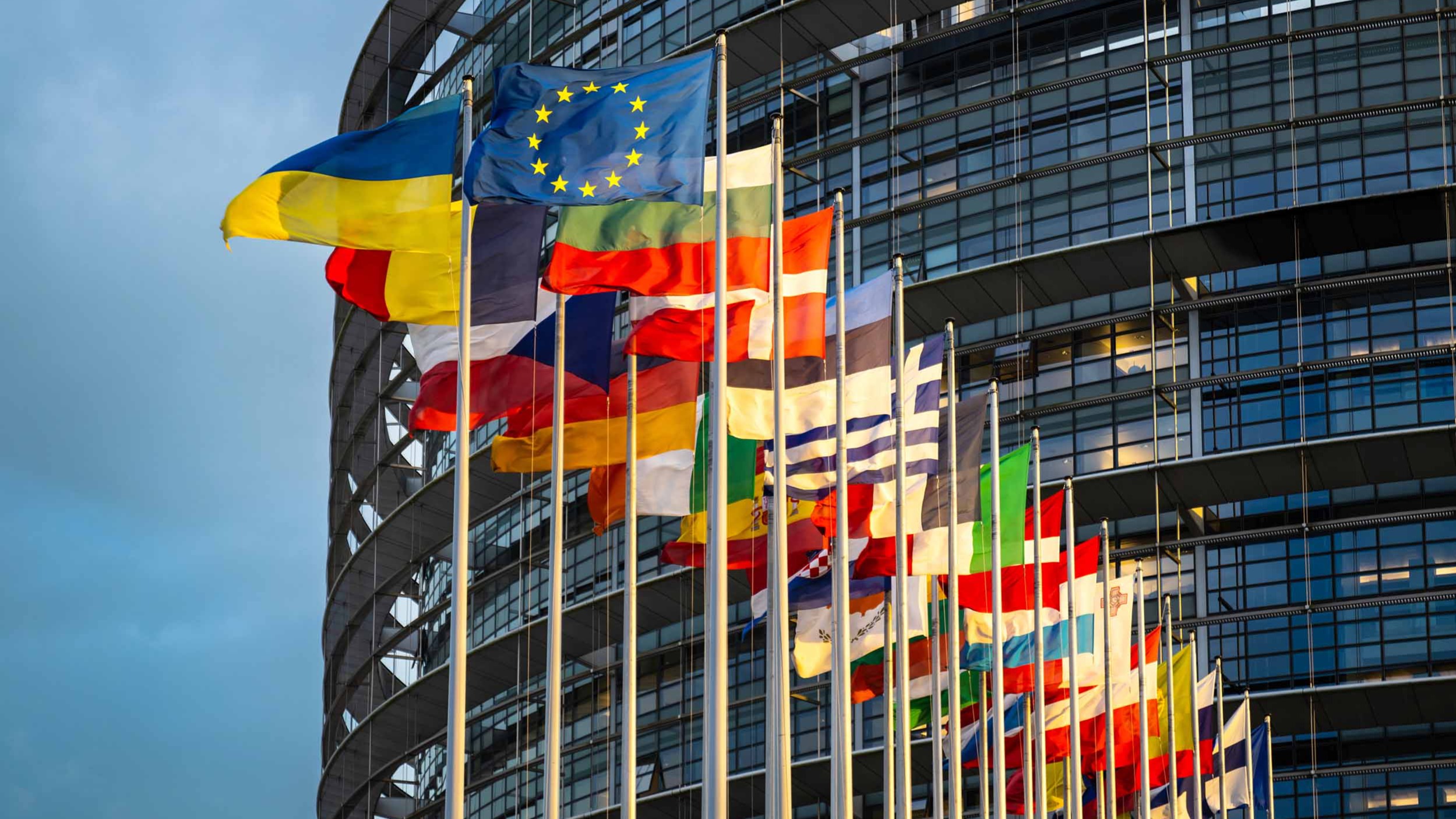 Category Sample Image