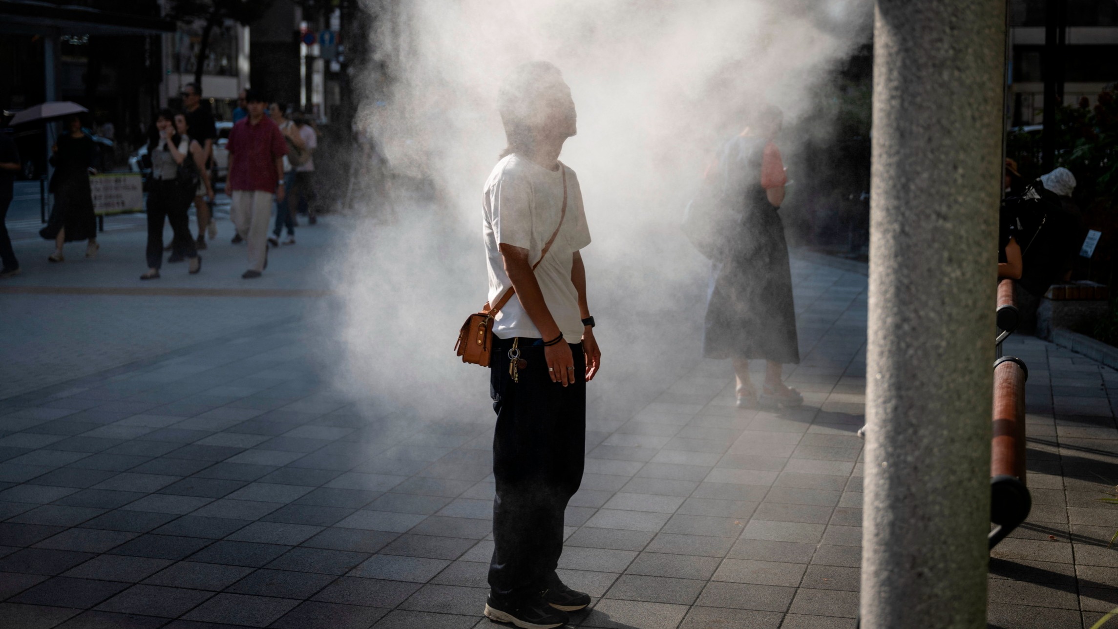 Japanese companies outshine peers on climate risk disclosures – Sustainable Views