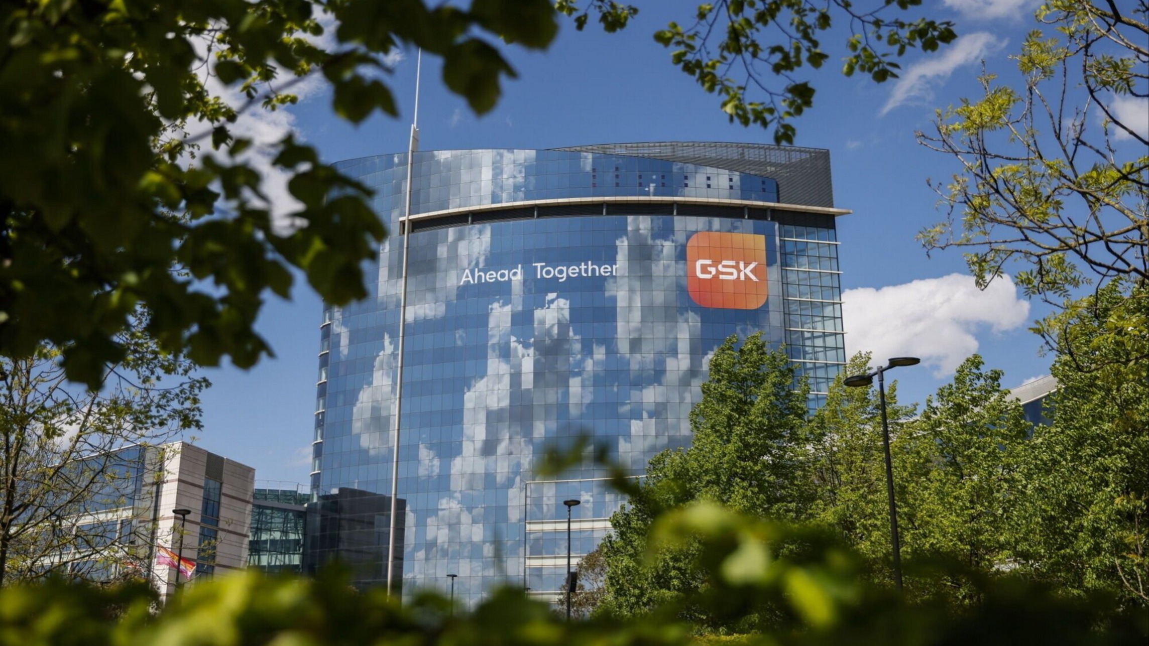 Gsk Environment COP16: Where are the biodiversity experts? - Sustainable Views
